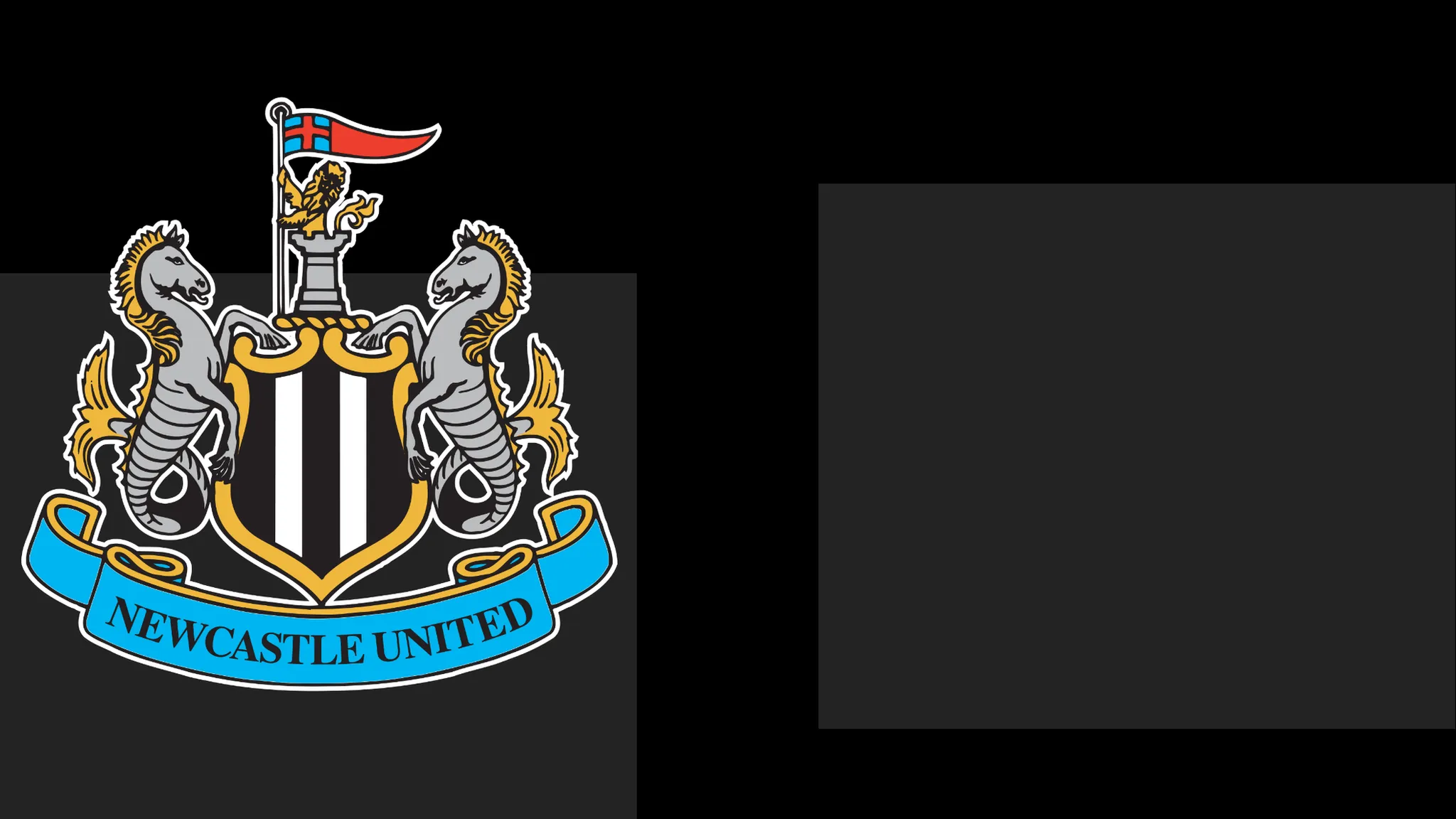 Newcastle's boss Hails Team's Spirit – Yet It Only Takes Them To a Point