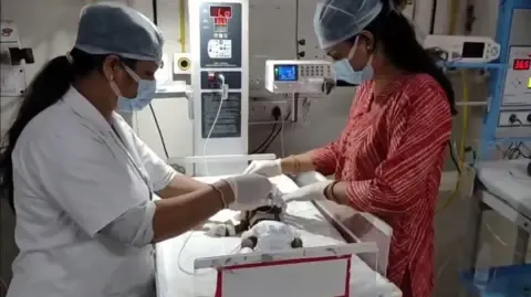 Infant Interred Alive in India Fights for Her Life