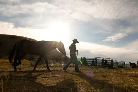 Discover the American Female Ranchers Transforming Modern Ranching